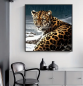 Preview: Diamond Painting Raubkatze Leopard
